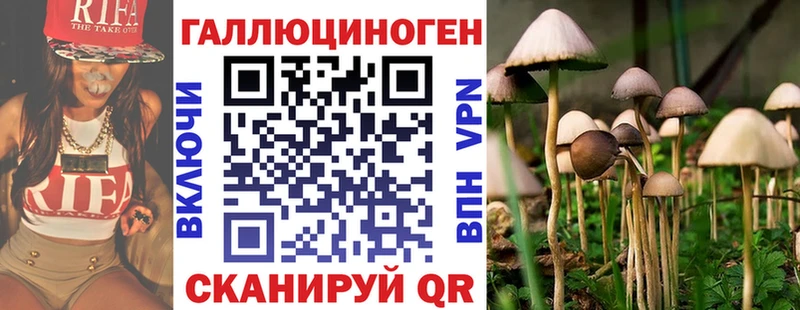 Галлюциногенные грибы GOLDEN TEACHER Кстово